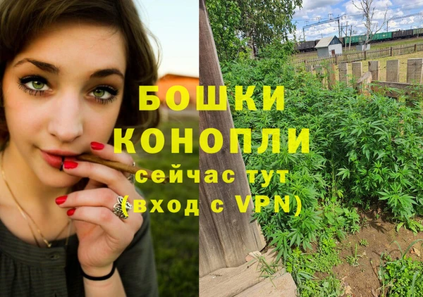 дмт Магас
