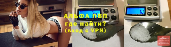 дмт Магас