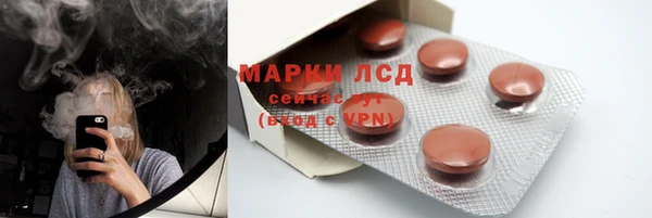 ПСИЛОЦИБИНОВЫЕ ГРИБЫ Майский