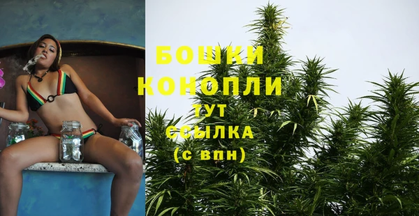 дмт Магас
