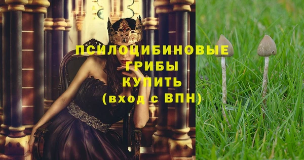 дмт Магас