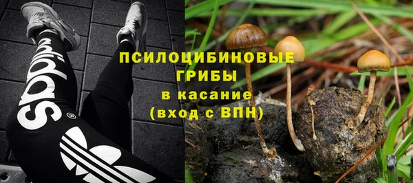 дмт Магас
