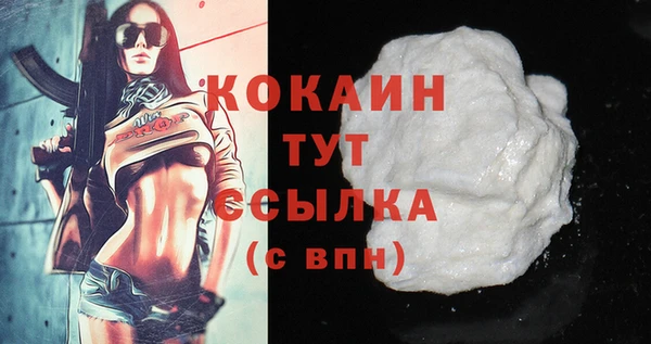 дмт Магас