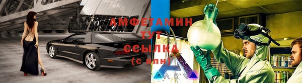 ПСИЛОЦИБИНОВЫЕ ГРИБЫ Майский