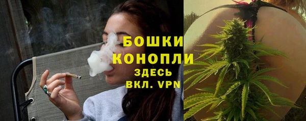 дмт Магас