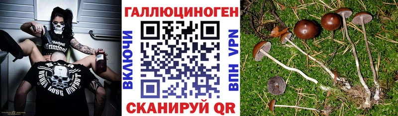 Галлюциногенные грибы прущие грибы  гидра рабочий сайт  Подпорожье 